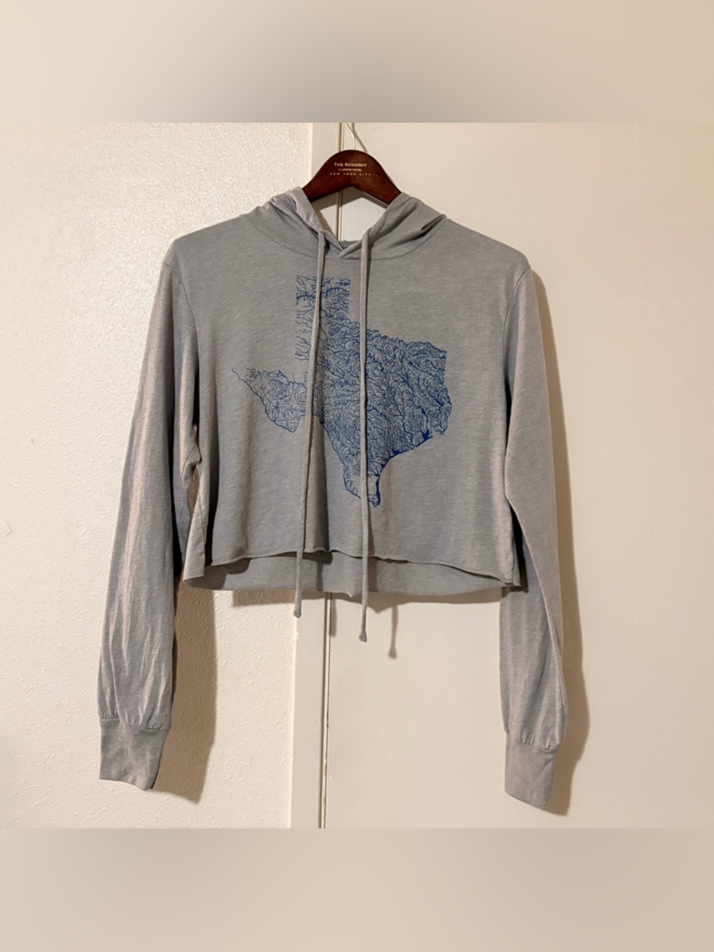 Charmed Fox Medium Cropped Light Gray Hoodie with Blue Graphic